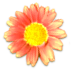 花の写真アイコン32 ガーベラ