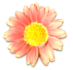花の写真アイコン33 ガーベラ