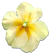 花の写真アイコン44