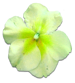 花の写真アイコン52
